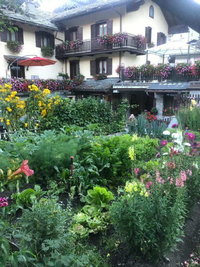 Maison Laurent Hotel 3*