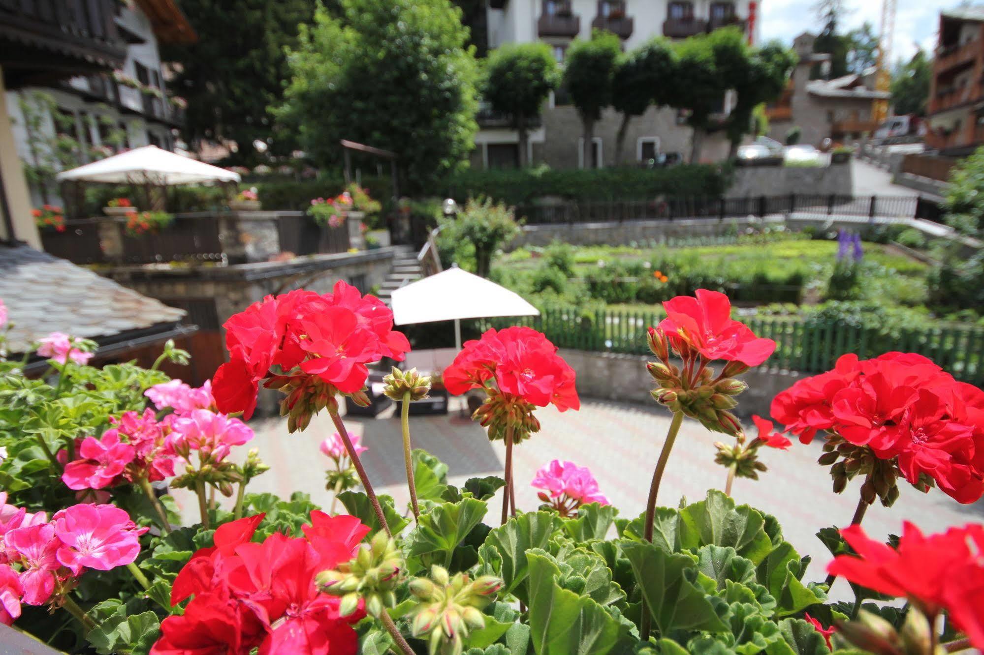 Maison Laurent 3* Courmayeur